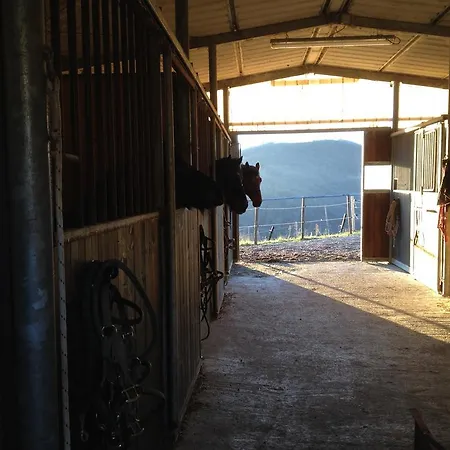 Bed & Breakfast Rossana