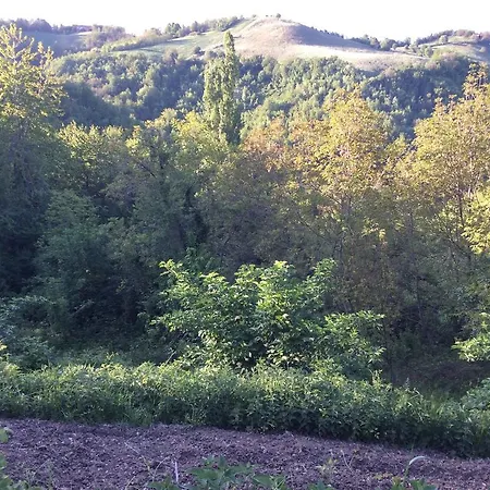 Rossana Frühstückspension 3*