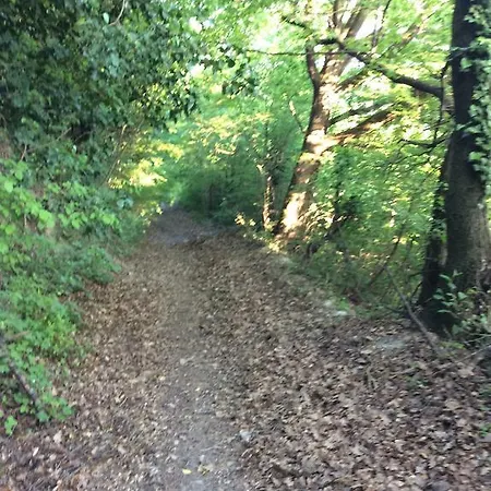 Bed & Breakfast Rossana