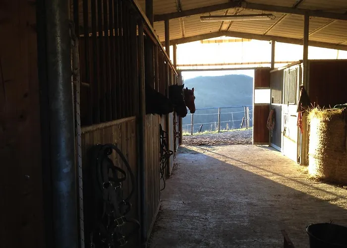 Bed and Breakfast Rossana