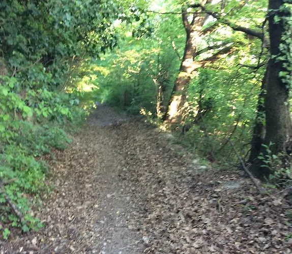 Bed and Breakfast Rossana